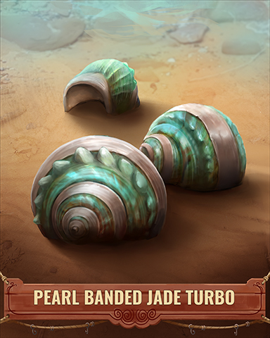 Pearl Banded Jade Turbo Shell Badge - Jigsaw Treasure Hunter HD