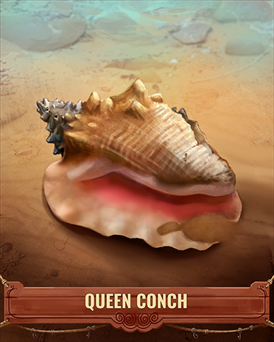 Queen Conch Shell Badge - Phlinx II