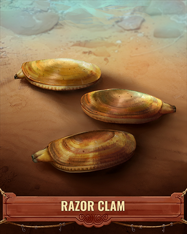 Razor Clam Shell Badge - Spades HD