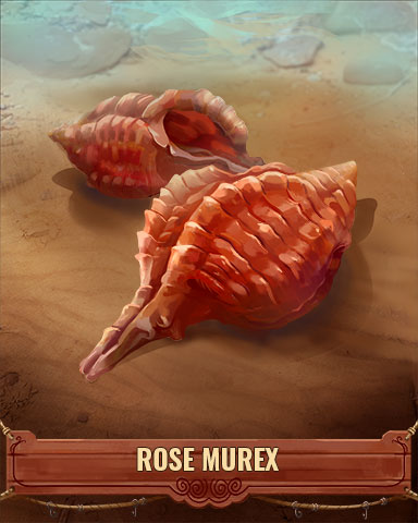 Rose Murex Shell Badge - Pogo™ Daily Sudoku