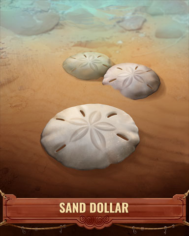 Sand Dollar Shell Badge - Snowbird Solitaire