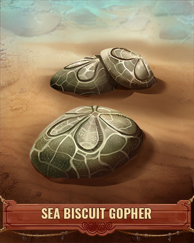 Sea Biscuit Gopher Shell Badge - Tumble Bees HD