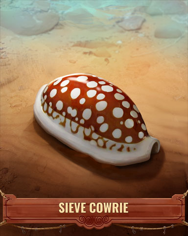 Sieve Cowrie Shell Badge - Pogo Addiction Solitaire HD