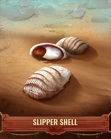 Slipper Shell Badge - Pogo™ Daily Sudoku