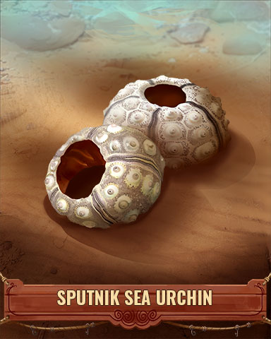 Sputnik Sea Urchin Shell Badge - StoryQuest