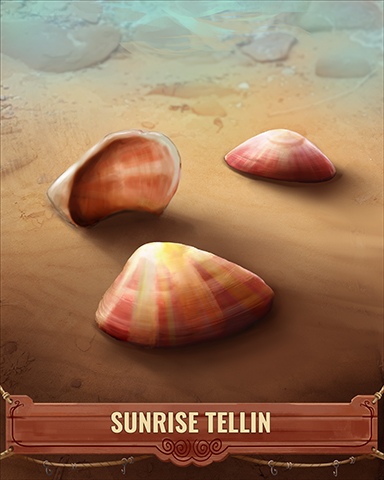 Sunrise Tellin Shell Badge - Solitaire Blitz