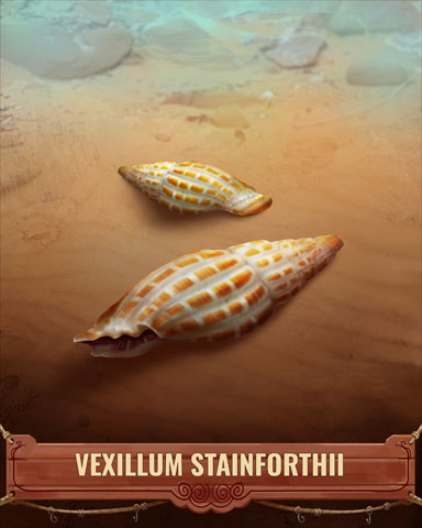 Vexillum Stainforthii Shell Badge - Turbo 21 HD