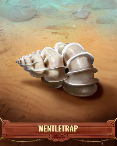 Wentletrap Shell Badge - Cookie Connect