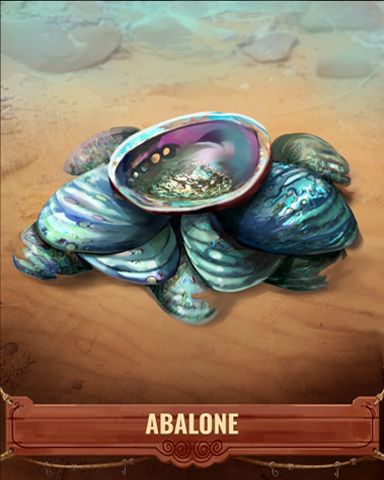 Abalone Shell Badge - Jet Set Solitaire