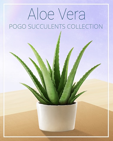 Aloe Vera Succulent Badge - First Class Solitaire HD