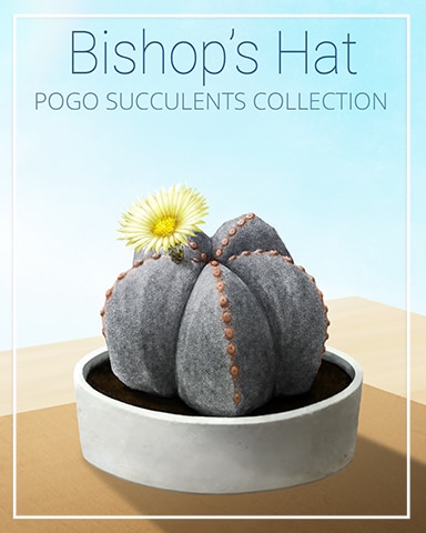 Bishop's Hat Succulent Badge - Crossword Cove HD