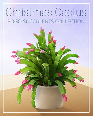 Christmas Cactus Succulent Badge - Pogo™ Slots