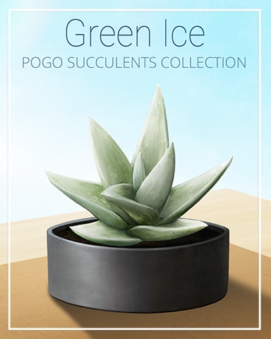 Green Ice Succulent Badge - Crossword Cove HD