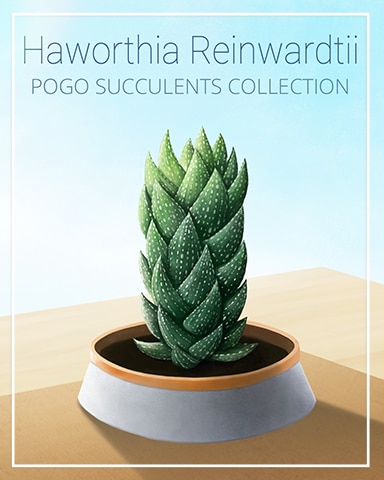 Haworthia Reinwardtii Succulent Badge - Jungle Gin HD