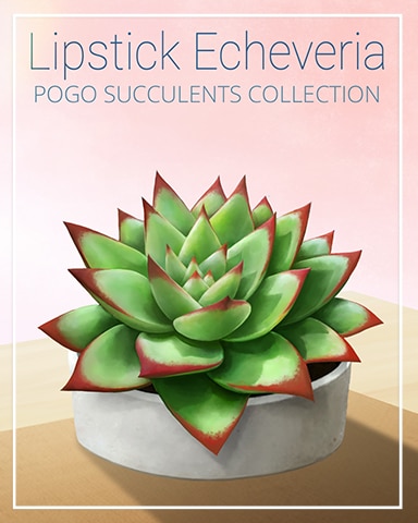 Lipstick Echeveria Succulent Badge - Mahjong Safari HD