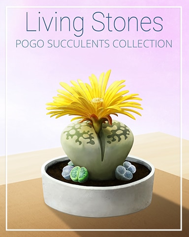 Living Stones Succulent Badge - Canasta HD