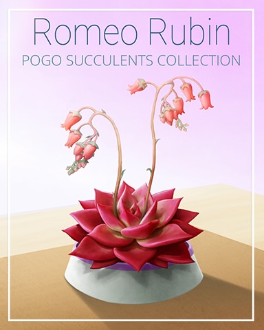 Romeo Rubin Succulent Badge - Spades HD