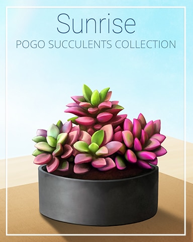 Sunrise Succulent Badge - Tri-Peaks Solitaire HD