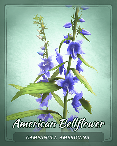 American Bellflower Badge - Quinn's Aquarium