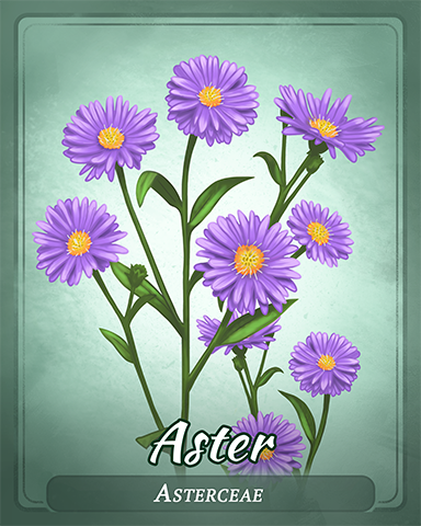 Aster Badge - Tri-Peaks Solitaire HD