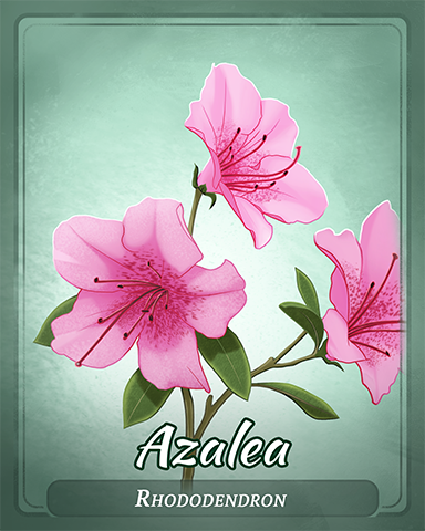 Azalea Badge - First Class Solitaire HD