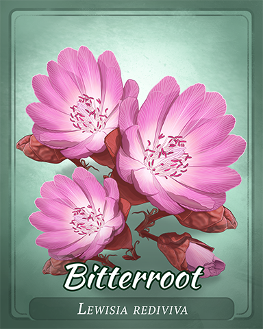 Bitterroot Badge - Slingo® Blast