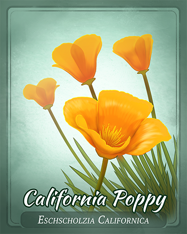 California Poppy Badge - Trizzle