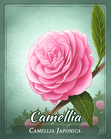 Camellia Badge - Turbo 21 HD