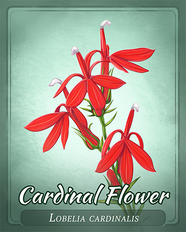 Cardinal Flower Badge - Big City Adventure