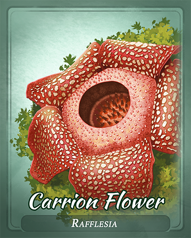 Carrion Flower Badge - Peggle Slots