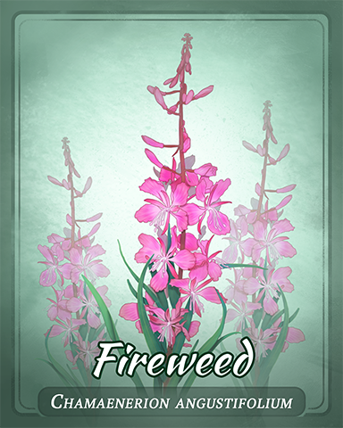 Fireweed Badge - Sweet Tooth Town