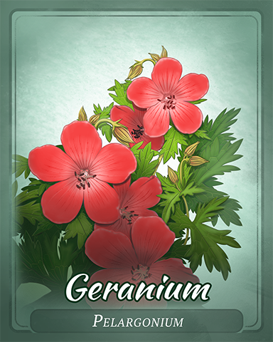 Geranium Badge - Cookie Connect