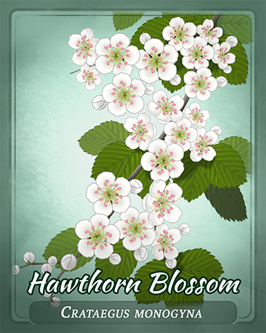 Hawthorn Blossom Badge - Hog Heaven Slots