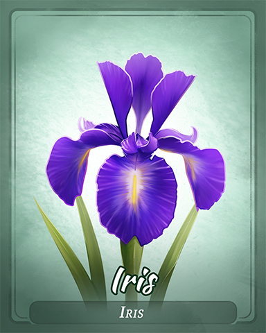 Iris Badge - Jungle Gin HD