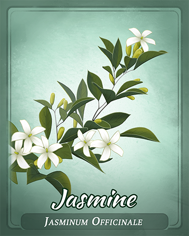 Jasmine Badge - Dominoes