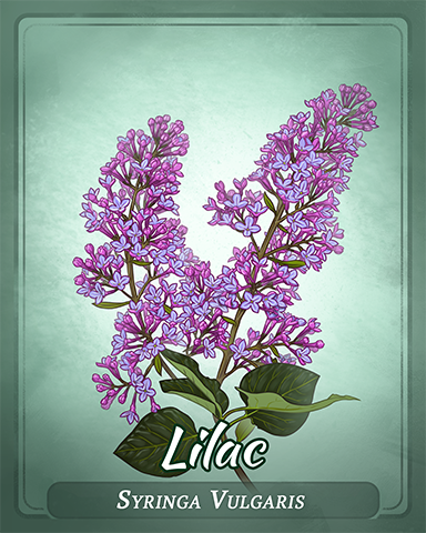 Lilac Badge - Poppit! Sprint