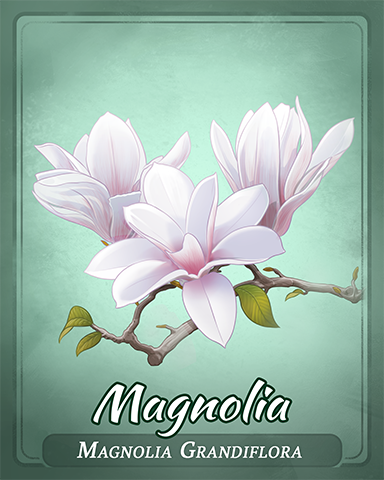 Magnolia Badge - Cross Country Adventure