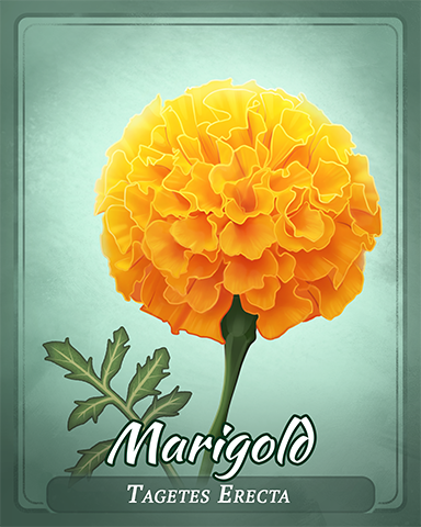 Marigold Badge - Poppit! HD