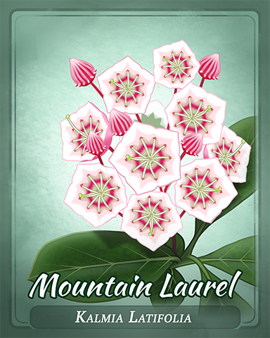 Mountain Laurel Badge - Poppit! Bingo