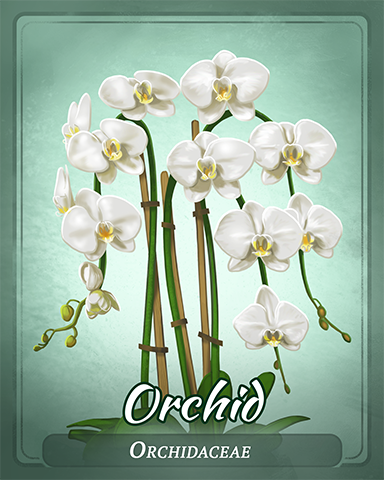 Orchid Badge - Bingo Luau