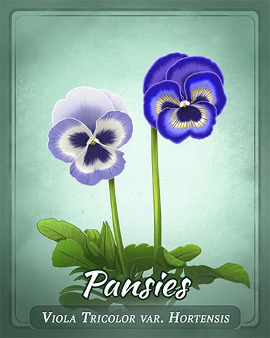 Pansies Badge - Mahjong Safari HD