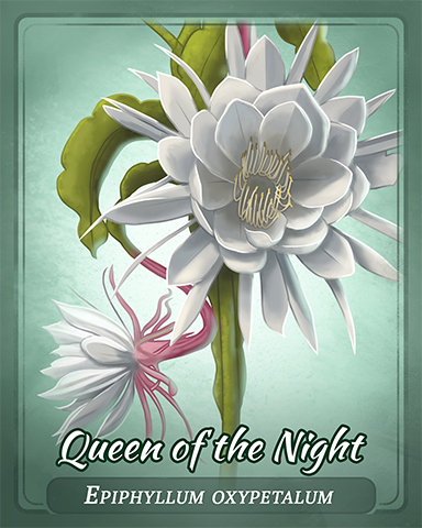 Queen Of The Night Badge - Claire Hart: Secret In The Shadows