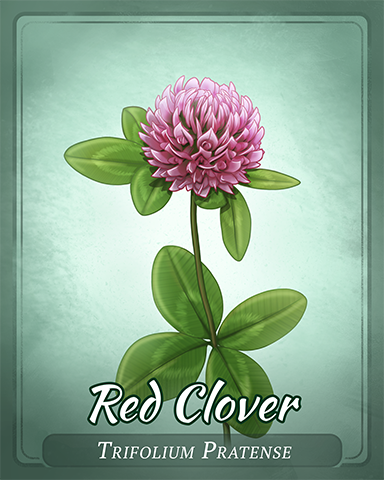 Red Clover Badge - Claire Hart Classic