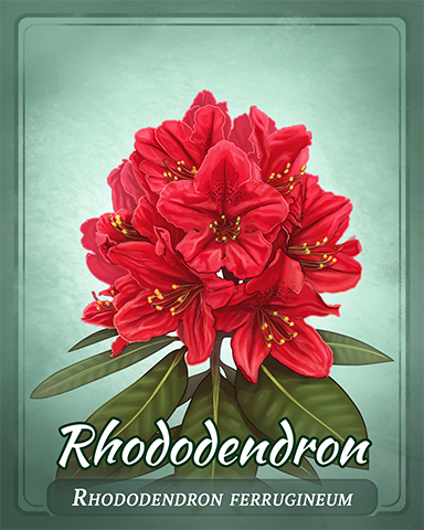 Rhododendron Badge - Everyone Wins Bingo