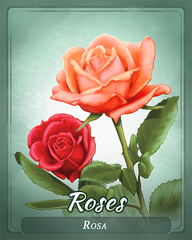 Roses Badge - StoryQuest