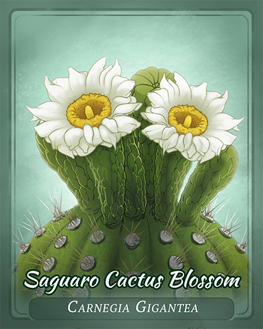 Saguaro Cactus Blossom Badge - Grub Crawl