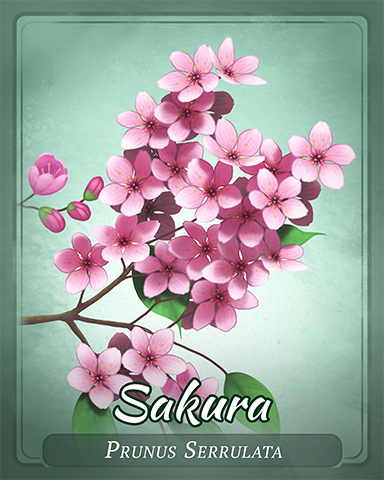 Sakura Badge - Solitaire Gardens