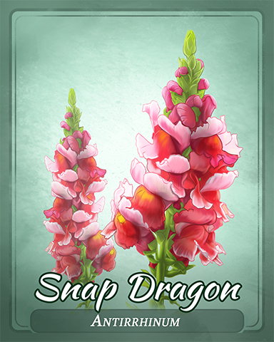 Snap Dragon Badge - Crossword Cove HD