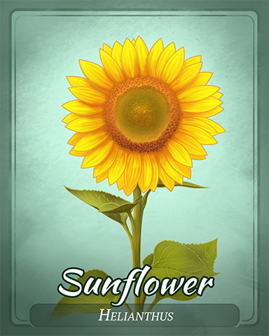 Sunflower Badge - Phlinx II