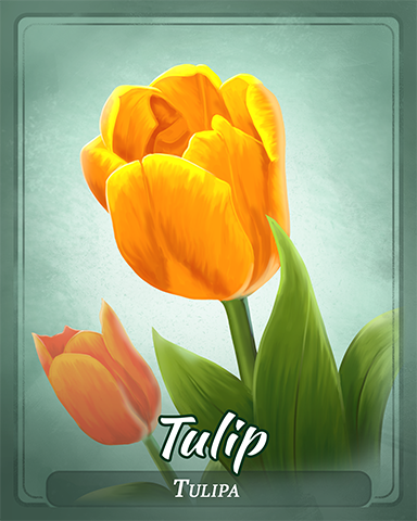 Tulip Badge - Mahjong Escape